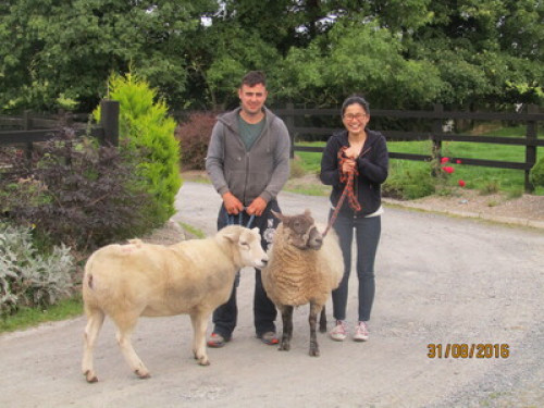 family Home  loves horses Boskill  - Gallery - 63