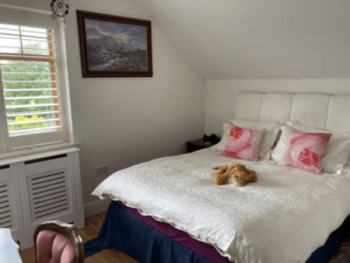 family Home  loves horses Boskill  - Gallery - 29
