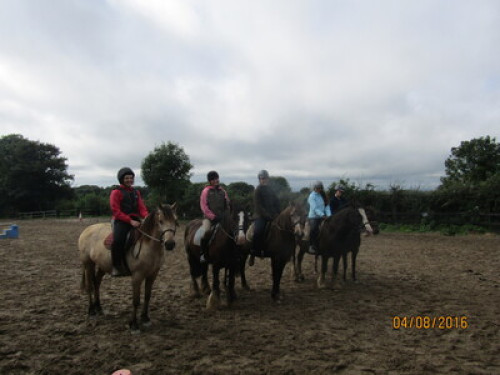 family Home  loves horses Boskill  - Gallery - 64