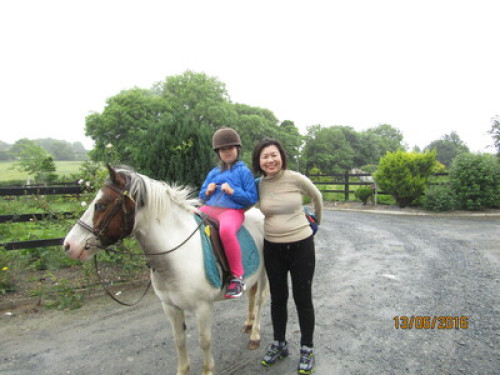 family Home  loves horses Boskill 