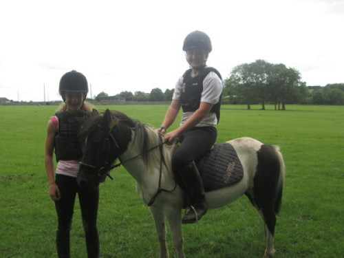 family Home  loves horses Boskill  - Gallery - 39