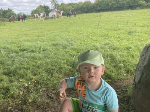 family Home  loves horses Boskill  - Gallery - 13