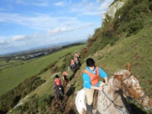 family Home  loves horses Boskill  - Gallery - 44