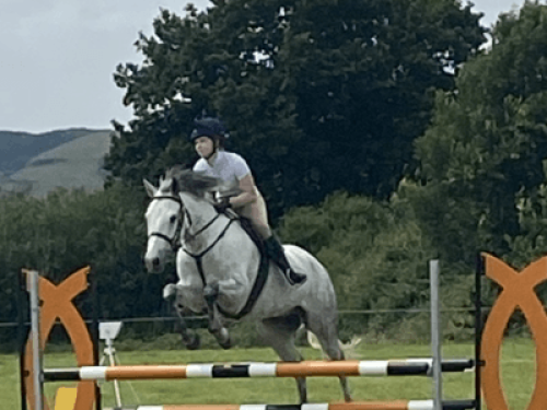 family Home  loves horses Boskill  - Gallery - 14