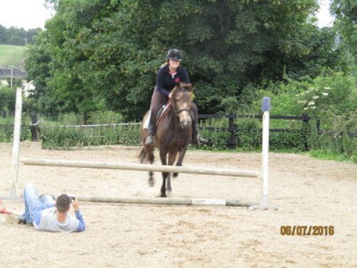 family Home  loves horses Boskill  - Gallery - 20