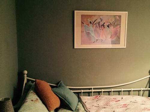 Welcoming cosy bungalow 