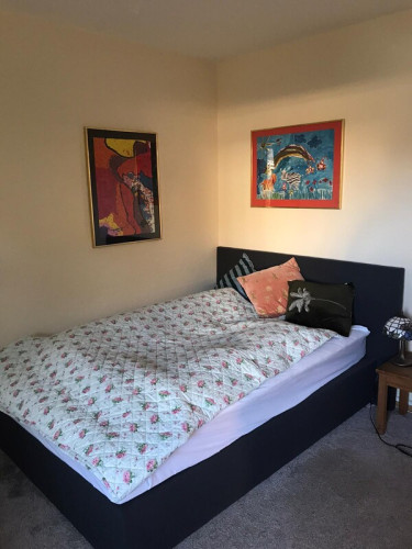 small cozy room - Gallery - 8