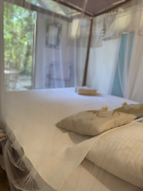  The Jungle Room(Full Room)  -  Colonial house near the beaches  - Gallery -  1