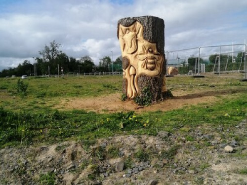 Irish home - Gallery - 12