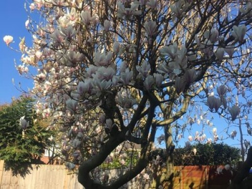 double-rooms-available-large-house-nottingham-1724019920240815034632AM