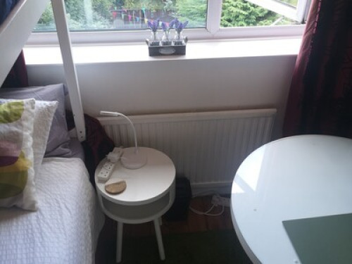 come-to-the-land-of-robin-hood-nottingham-59255544820240815034647AM