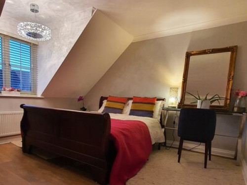 Ideal Professional And Student Room - Gallery - 13