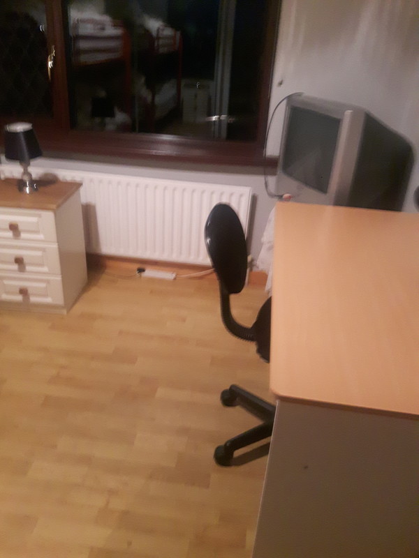  Double Room (Single Bed)  -  Hosting students  - Gallery -  1
