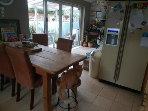 Experienced host family in Chester