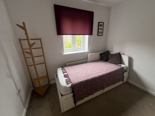 lovely-spare-room-available-manchester-41487406620240815035217AM