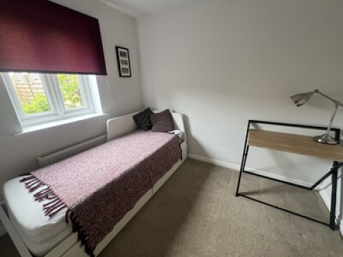 lovely-spare-room-available-manchester-65963475120240815035211AM