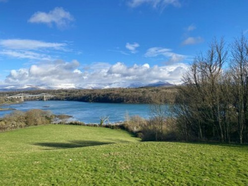 Stay with Homestay, new experiences