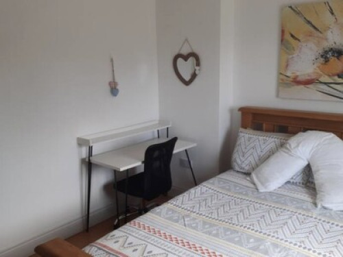 Cosy Room near Galway City  - Gallery - 5