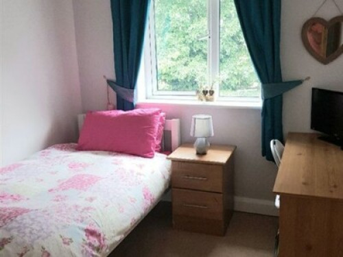 Cosy Room near Galway City  - Gallery - 16