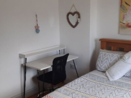Cosy Room near Galway City  - Gallery - 15