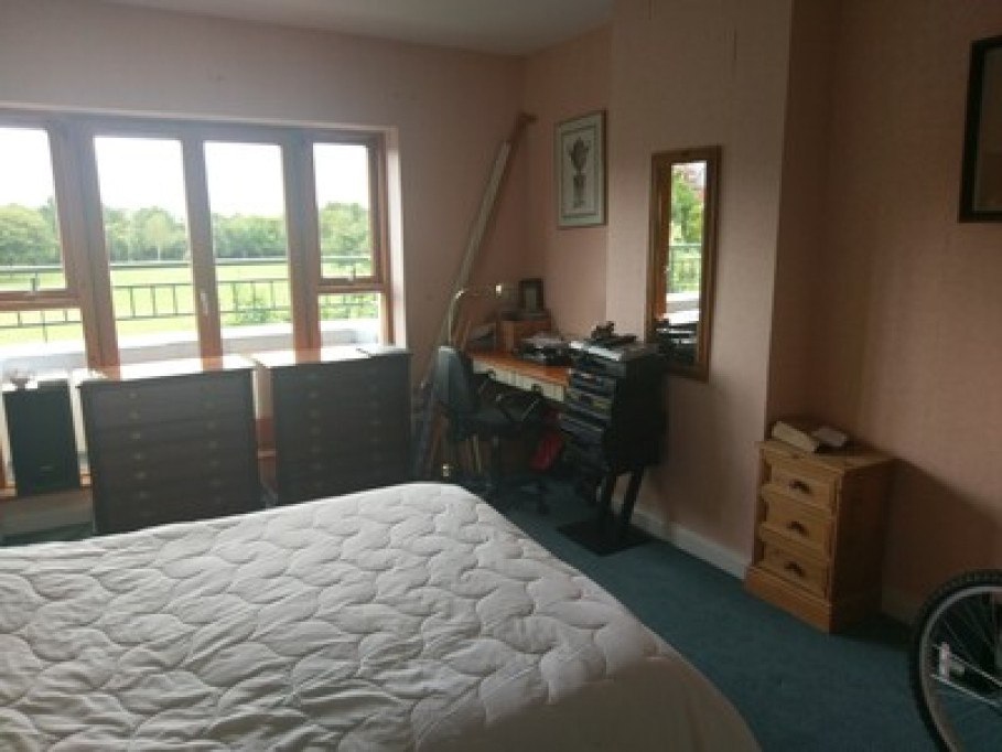Large Room with a view