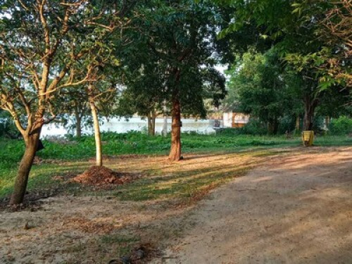 Enjoy the nature  - Gallery - 7