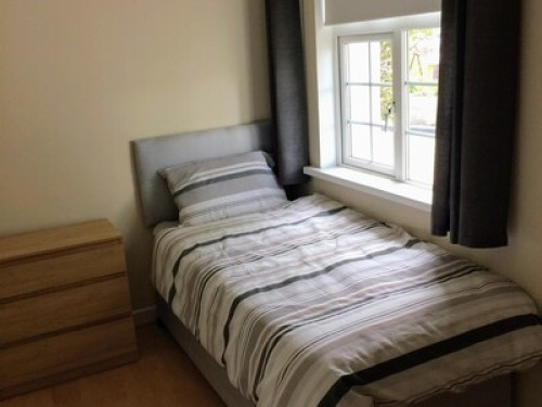 Spacious twin room 