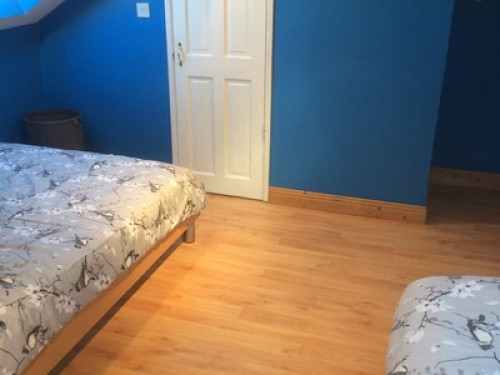 Spacious twin room 