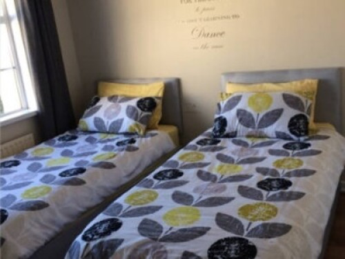 Spacious twin room 