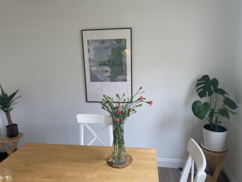 Friendly and peaceful homestay