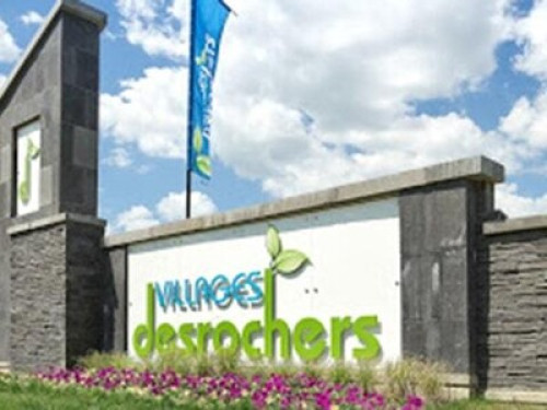 New and quiet room basement suite