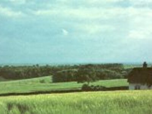 friendly-country-loving-family-home-sheffield-13288146520240815041838AM