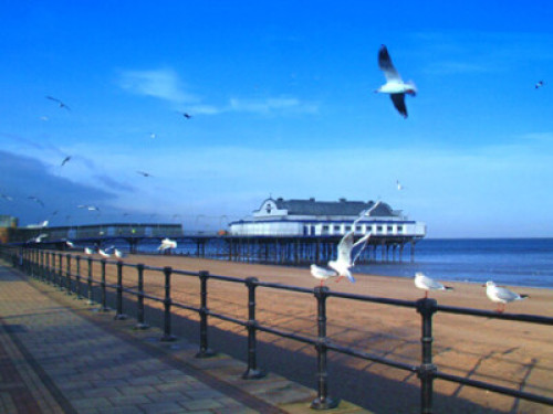 friendly-country-loving-family-home-sheffield-6730280920240815041839AM