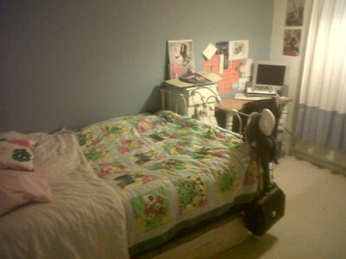 friendly-country-loving-family-home-sheffield-76354139220240815041843AM
