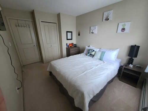 Comfortable Room in SE Edmonton