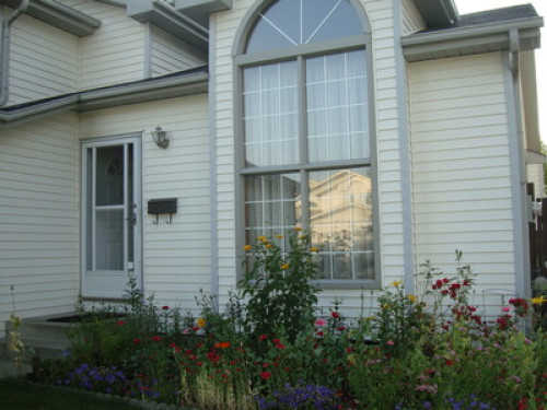 Quiet and decent house