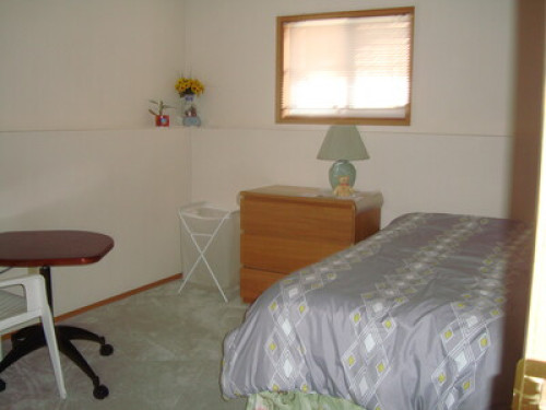 Quiet and decent house  - Gallery -  5
