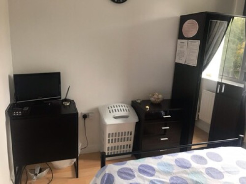 Fun, active family near City Centre