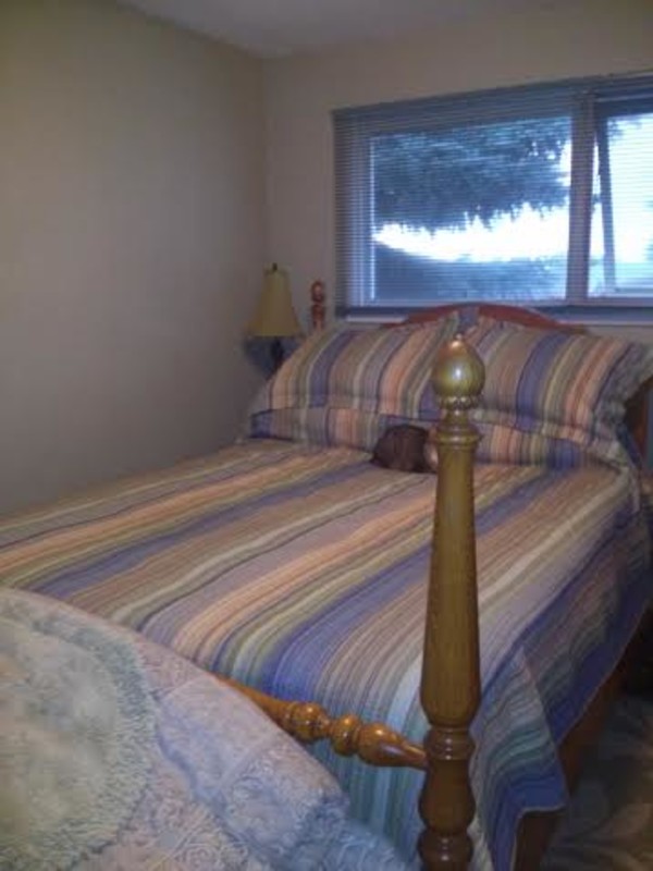 A(Single Bed) - Academic/Enthusiastic/Trustworthy - Gallery - 1