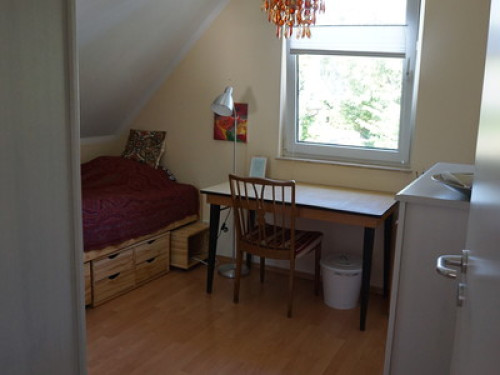 Rooms in Hamburg - ladies only