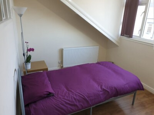 Room to rent in a 3 bed house  - Gallery - 17