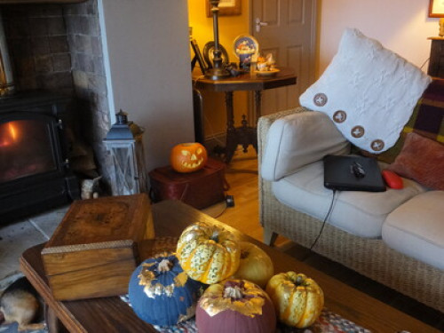 friendly couple with cosy open view - Gallery - 7