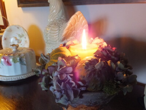 friendly couple with cosy open view  - Gallery -  5