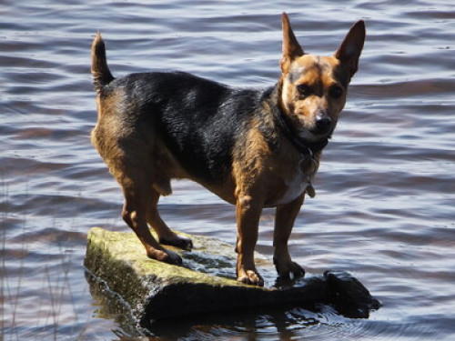 friendly couple with cosy open view