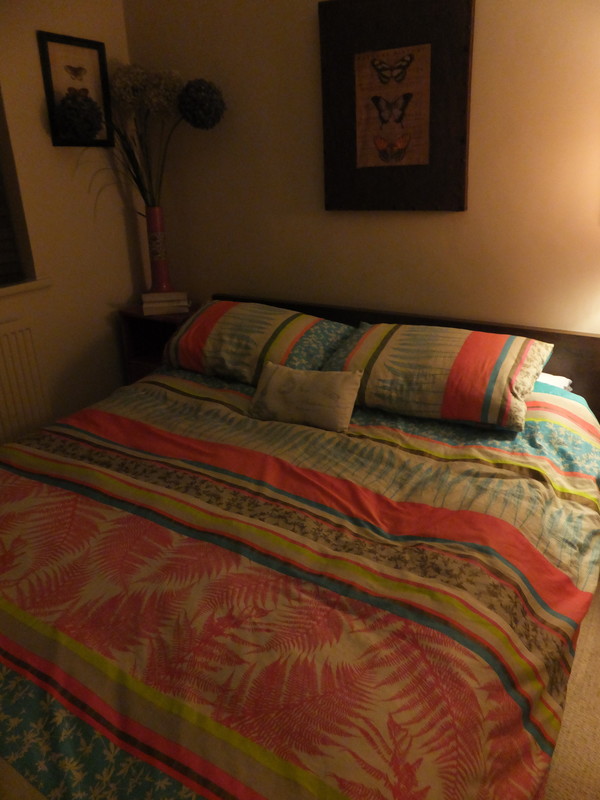  Room 1(Full Room)  -  friendly couple with cosy open view  - Gallery -  1