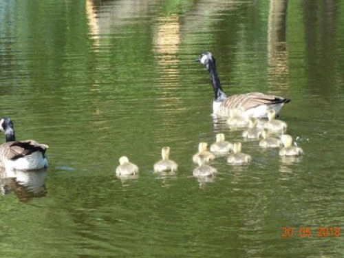 Room with private bathroom, kitchen, entrance