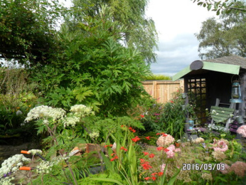 Peace and Tranquility  - Gallery -  5