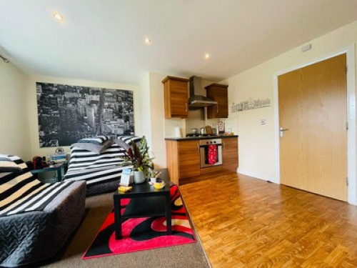 Single room very close to Belfast!