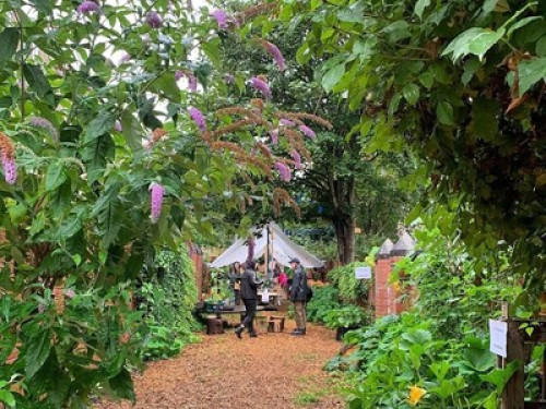 a-creative-home-in-glasgow-glasgow-47237705920240815044453AM