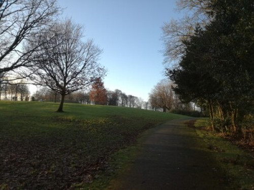 a-creative-home-in-glasgow-glasgow-55382483920240815044452AM